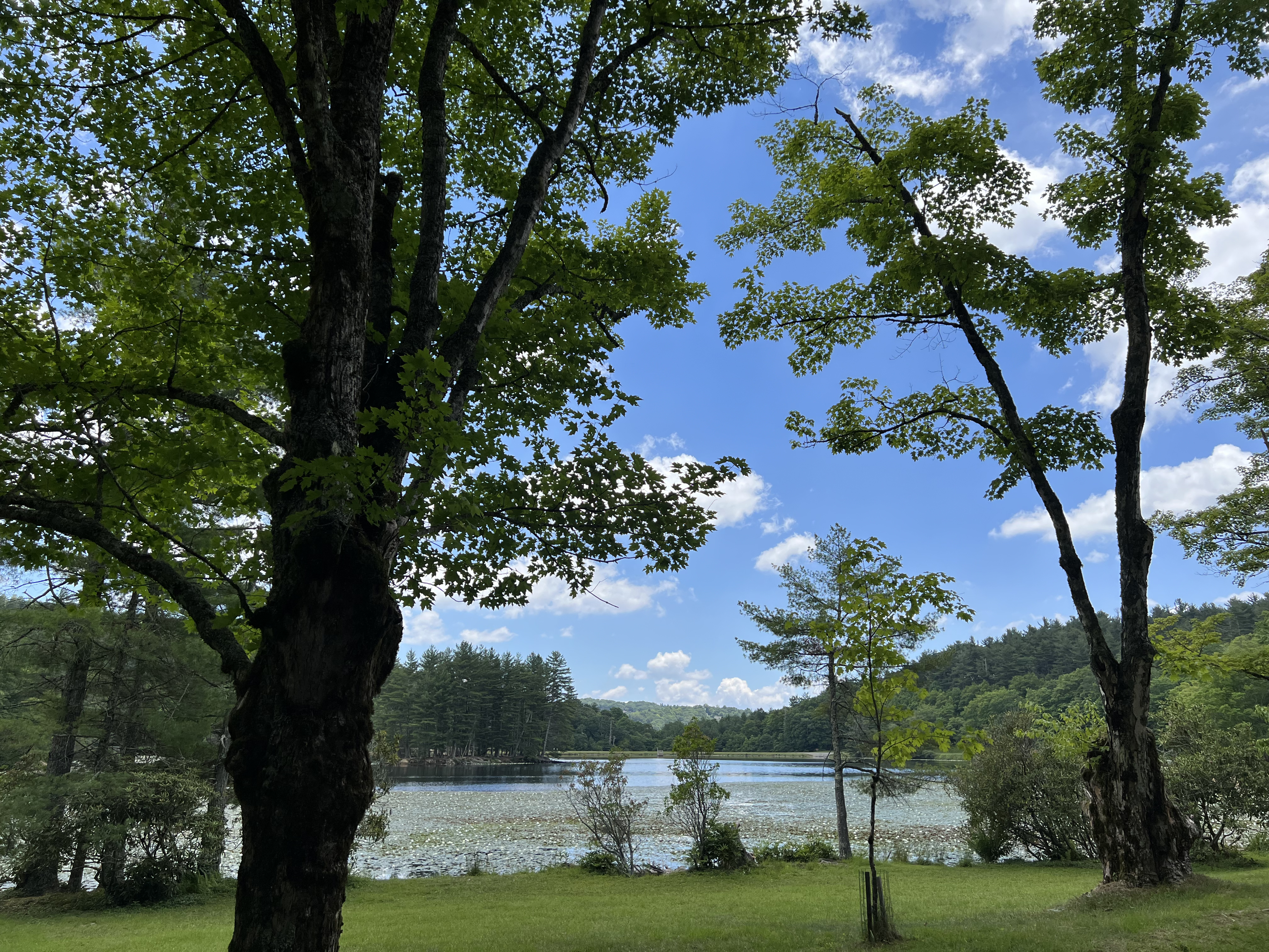 ./2024/08 - Banner Elk/IMG_1815.jpg